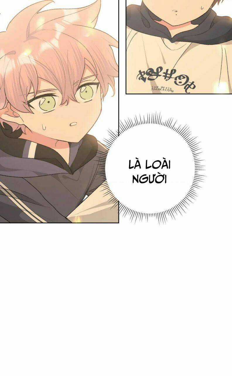 Cẩn Thận Bị Mộng Ma Ăn Mất Đó! Chapter 80 trang 59