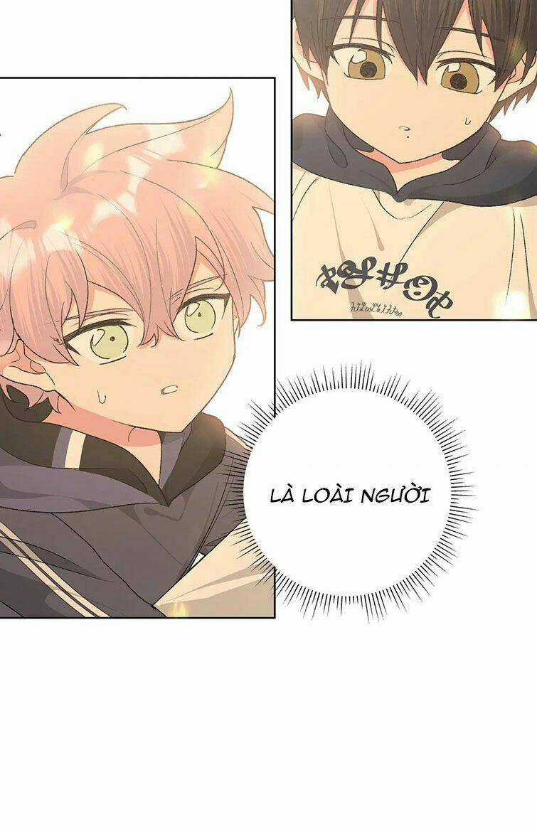 Cẩn Thận Bị Mộng Ma Ăn Mất Đó! Chapter 81 trang 9