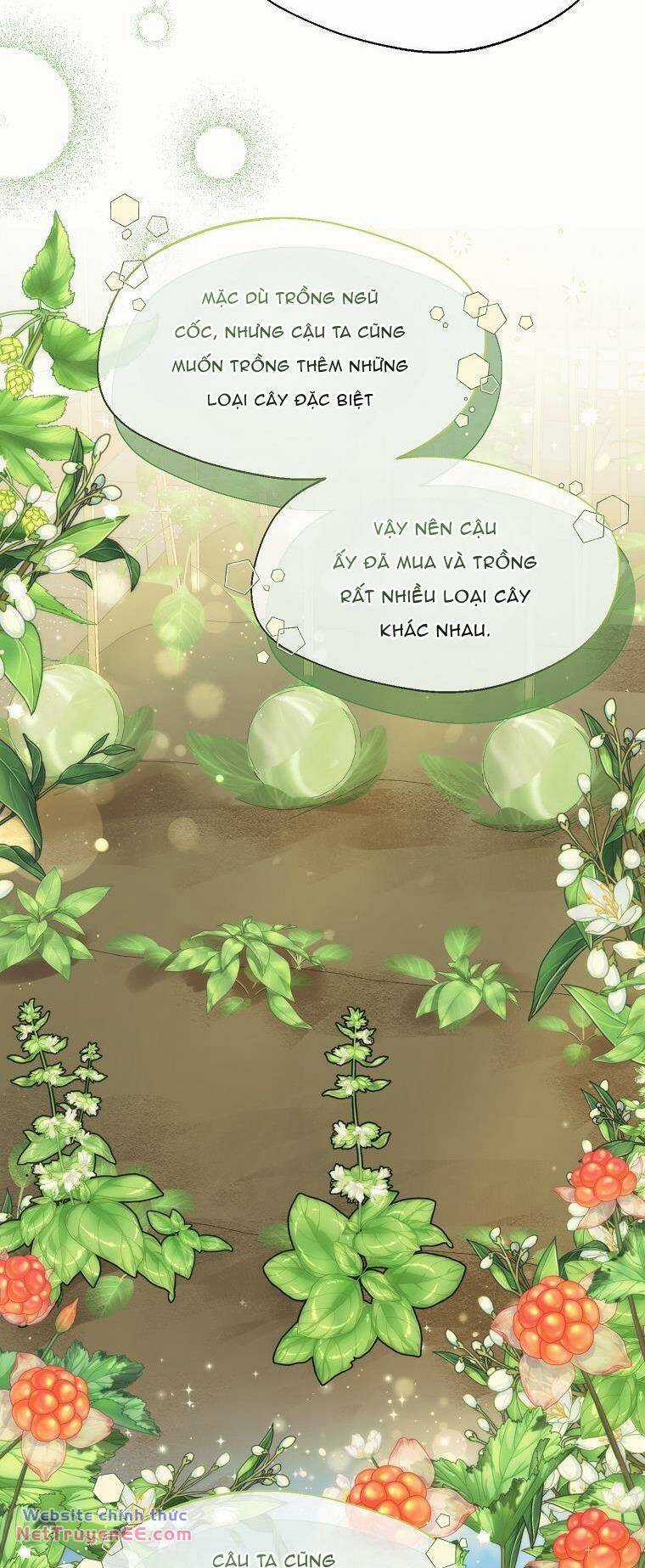 Cẩn Thận Khi Chọn Chồng Chapter 19 trang 10