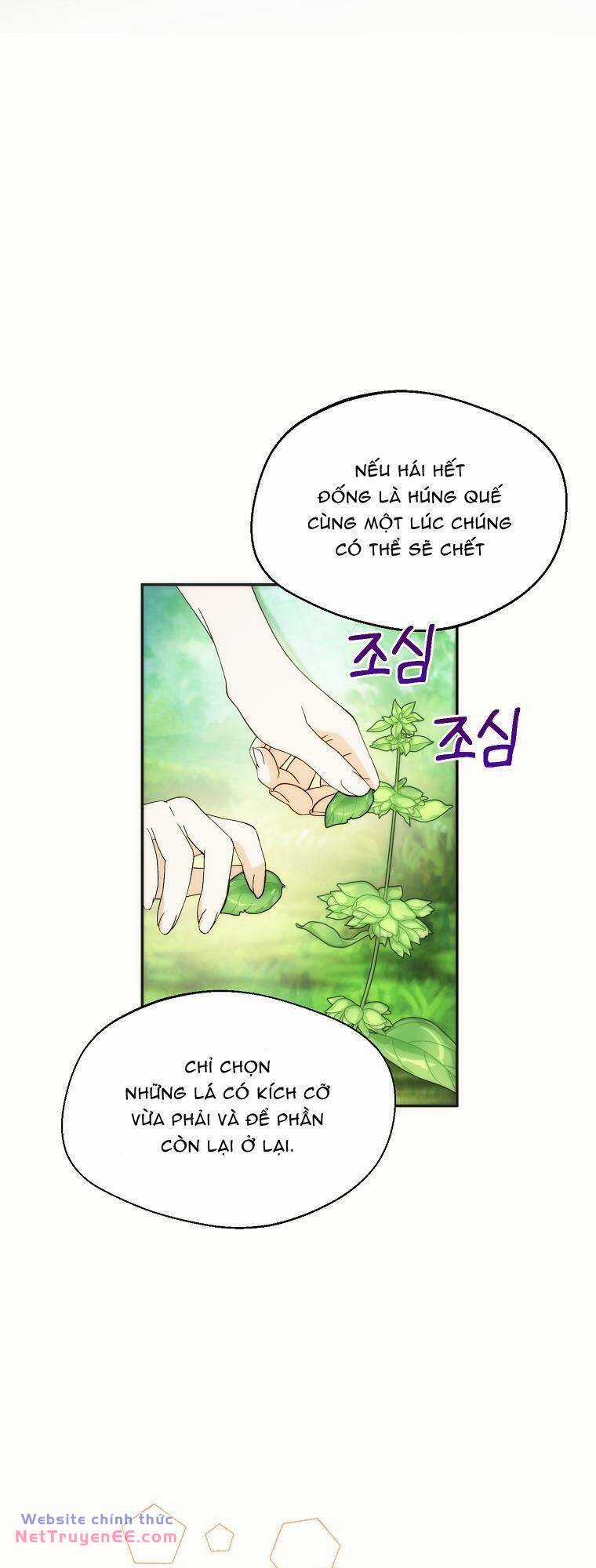 Cẩn Thận Khi Chọn Chồng Chapter 19 trang 29