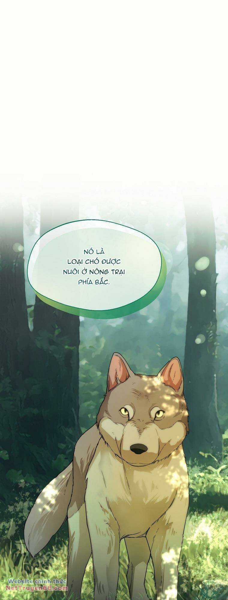 Cẩn Thận Khi Chọn Chồng Chapter 23 trang 50