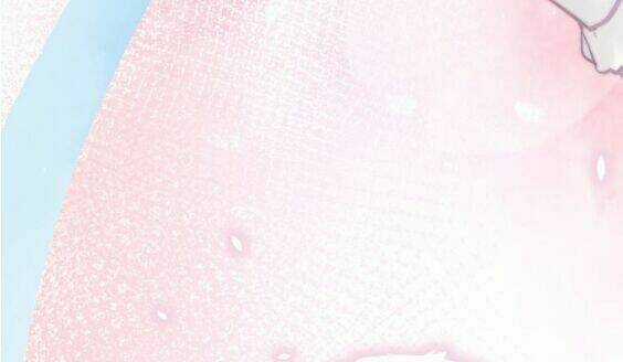 Cánh Diều Xanh Bay Trong Cơn Gió Chapter 13 trang 34