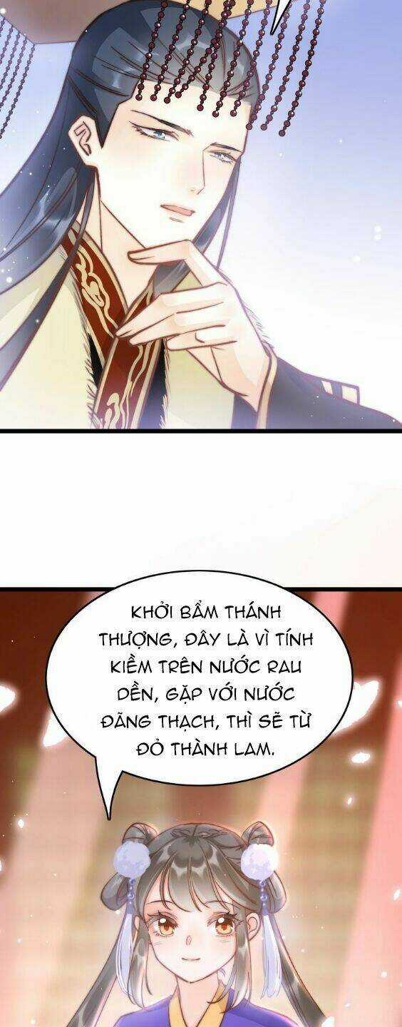 Cánh Diều Xanh Bay Trong Cơn Gió Chapter 21 trang 4