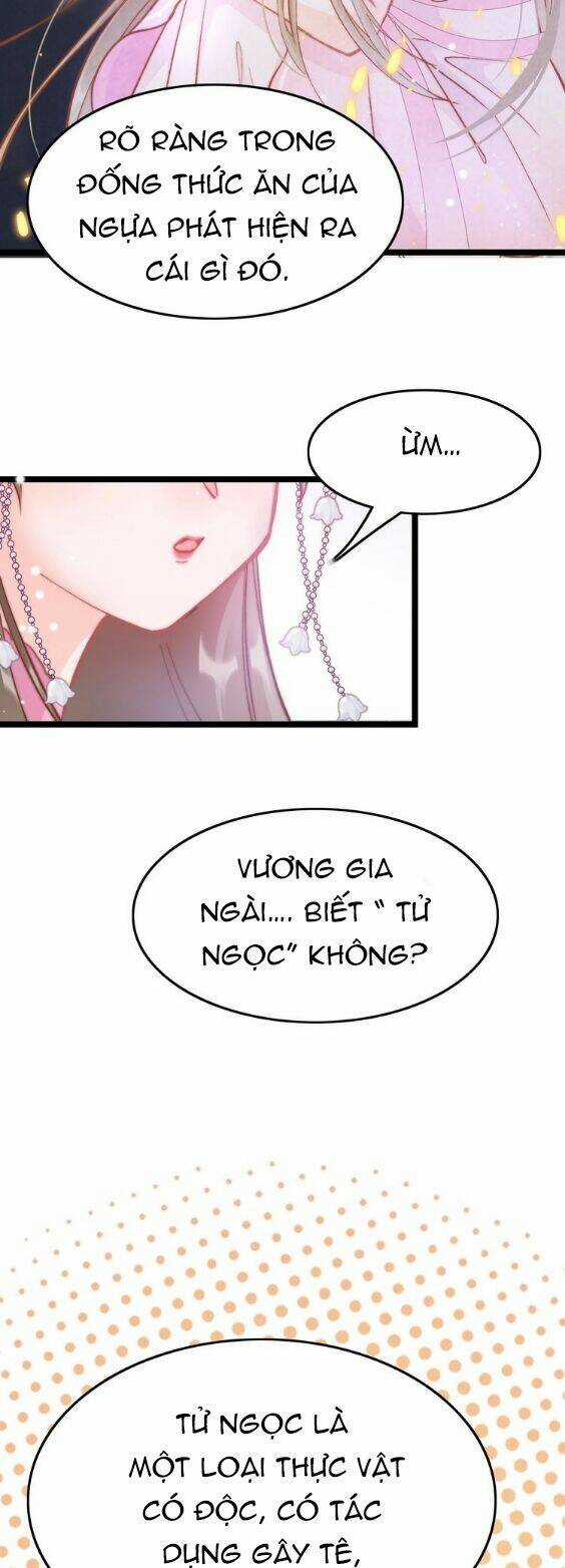 Cánh Diều Xanh Bay Trong Cơn Gió Chapter 9 trang 23