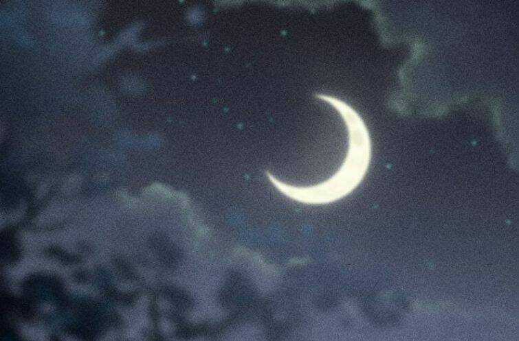 CẠNH KIẾM CHI PHONG Chapter 52 trang 47