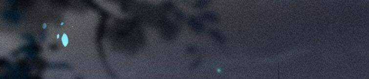 CẠNH KIẾM CHI PHONG Chapter 56 trang 31