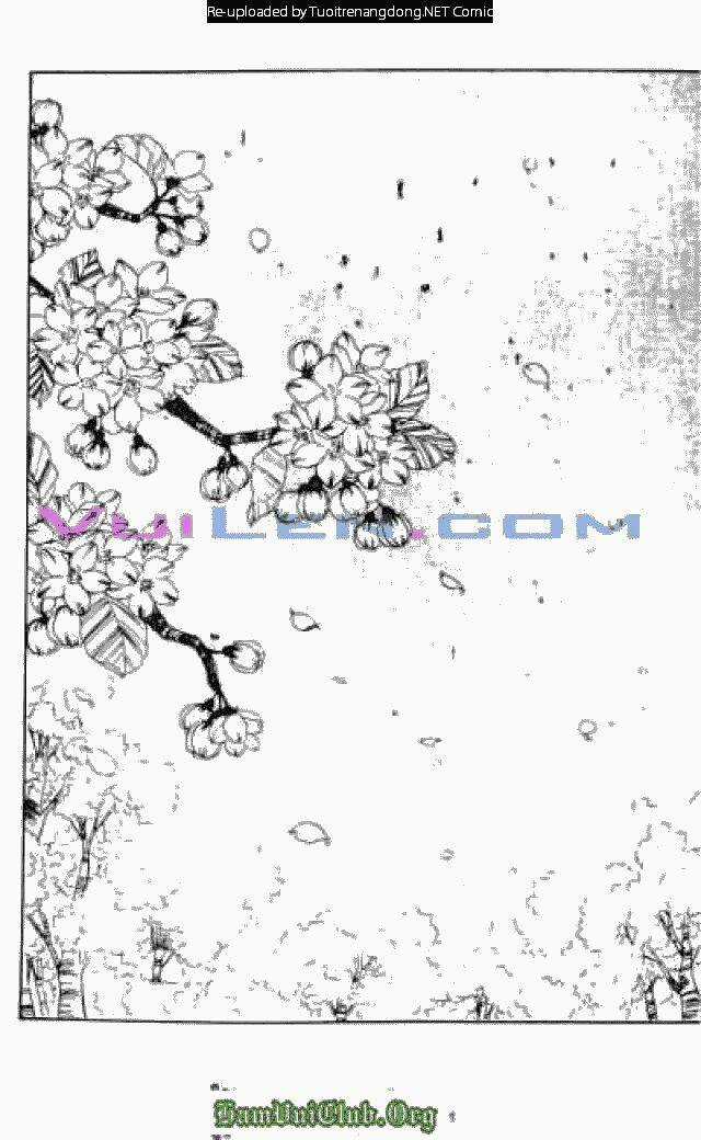 Cánh Thiên Nga Chapter 20 trang 5