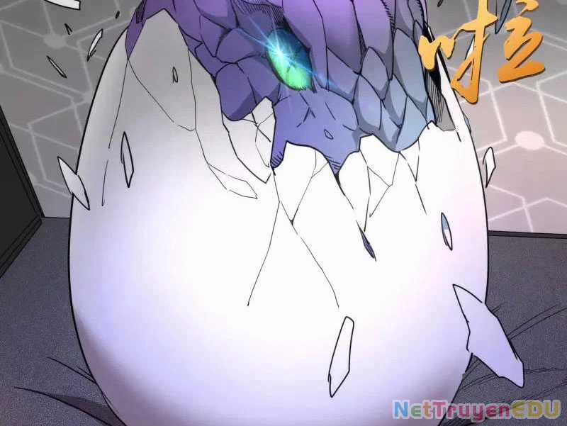 Cao Đẳng Linh Hồn Chapter 317 trang 73