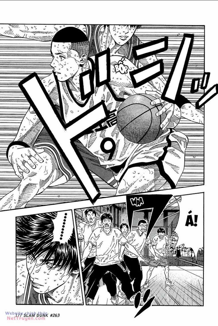 Cao Thủ Bóng Rổ (Remake) Chapter 263 trang 11