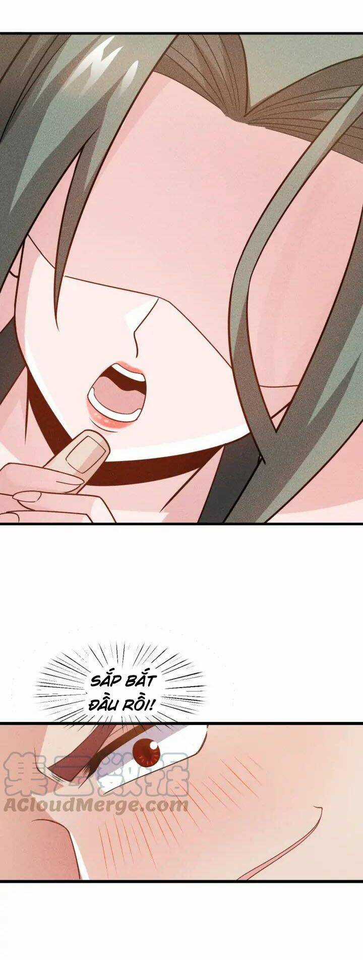 Cao Thủ Cận Vệ Của Nữ Chủ Tịch Chapter 152 trang 14