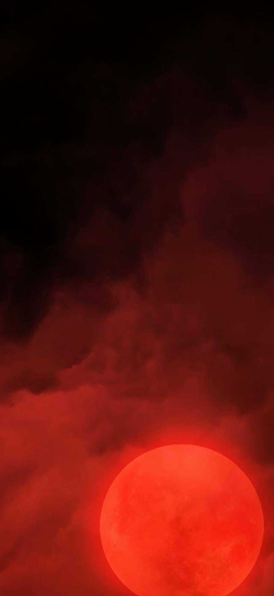 Cao Thủ Gian Lận Hoàn Lương Chapter 14 trang 69