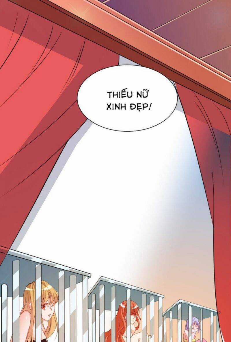 Cao Thủ Xuống Núi, Bảy Vị Sư Tỷ Bảo Vệ Ta Chapter 39 trang 11