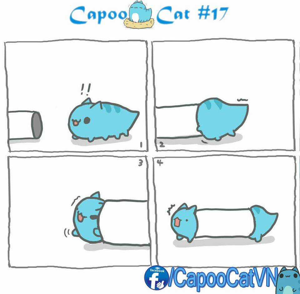 Capoo Cat Chapter 2 trang 6