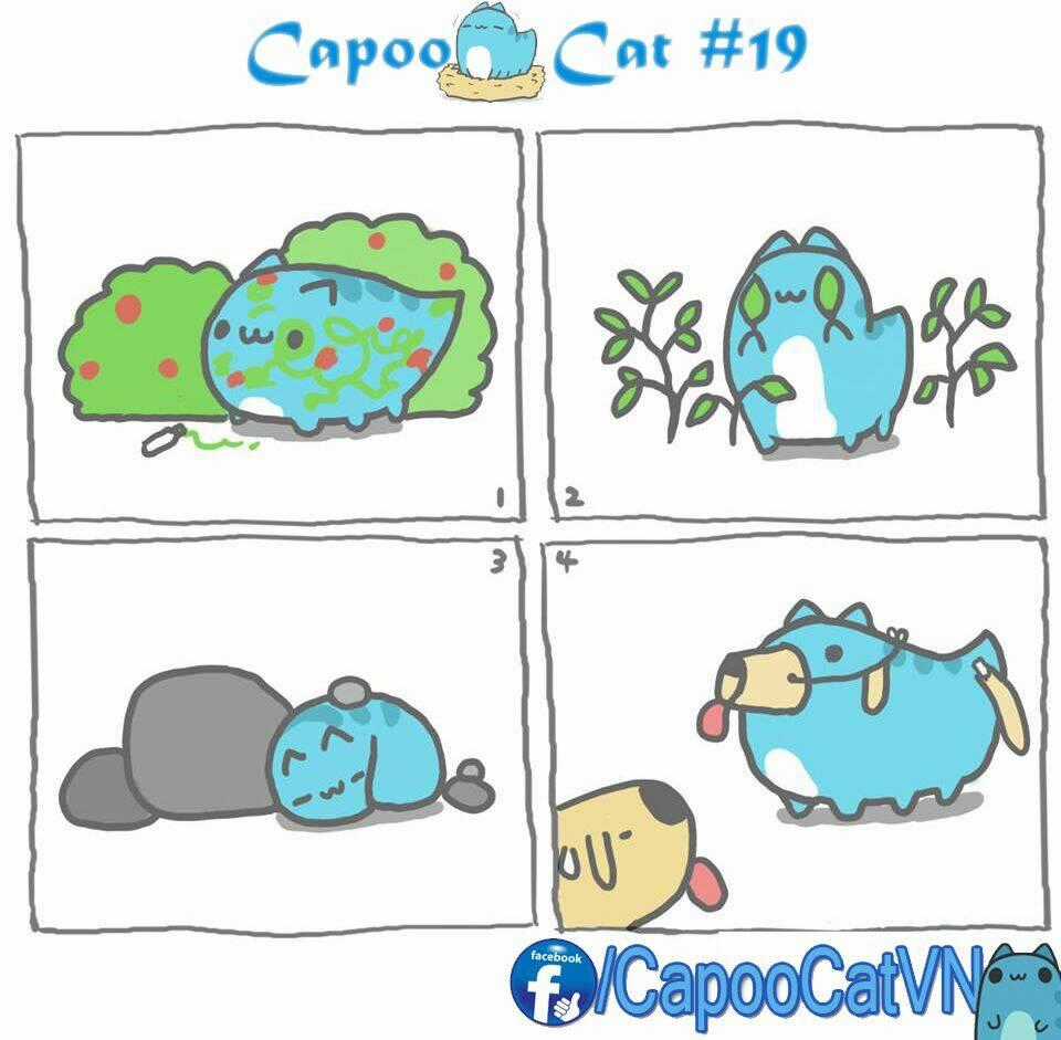 Capoo Cat Chapter 2 trang 8