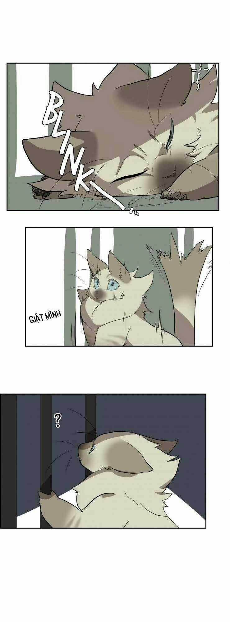 Cat Girl And Bodyguards Chapter 21 trang 0