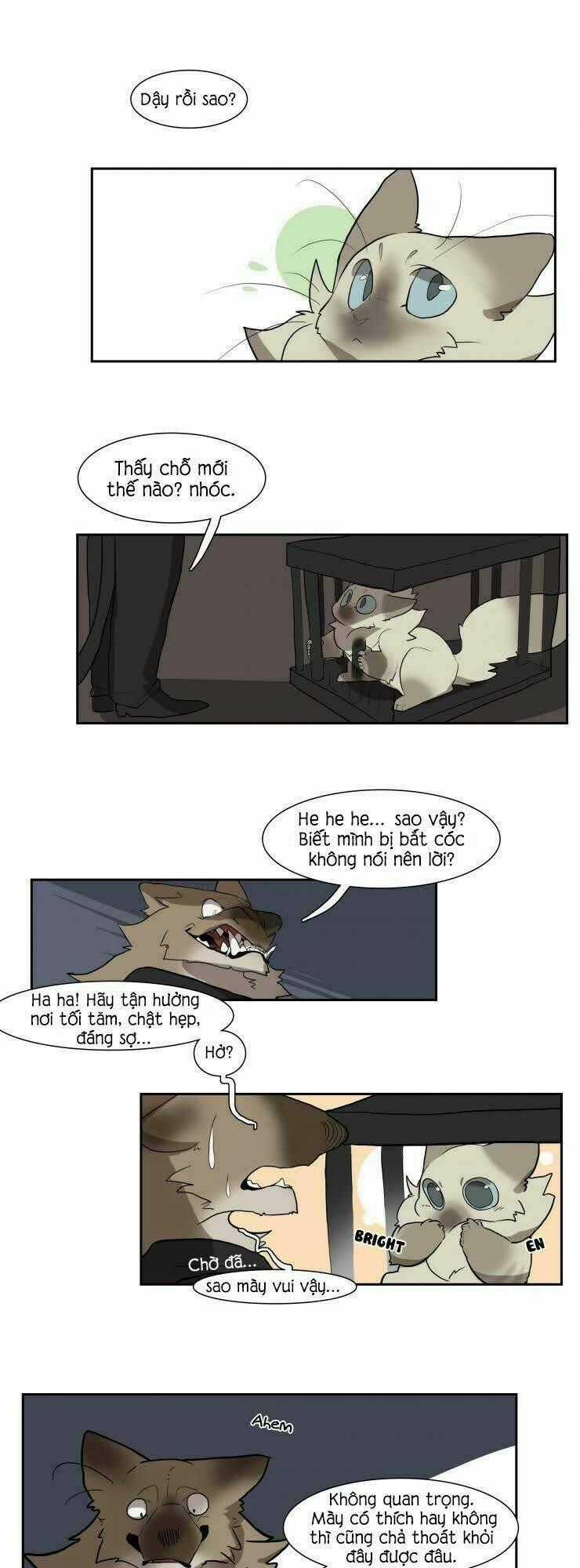 Cat Girl And Bodyguards Chapter 21 trang 1