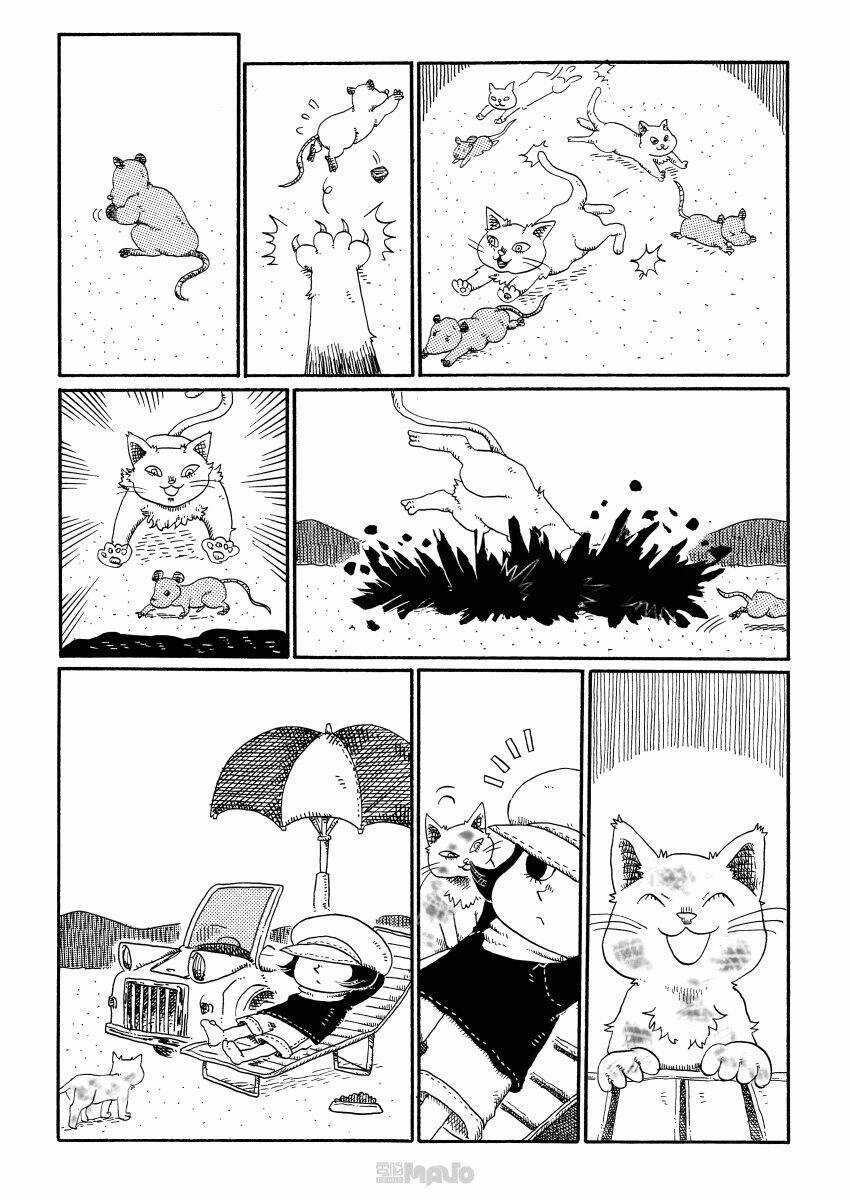 Cat in the car Chapter 17 trang 2
