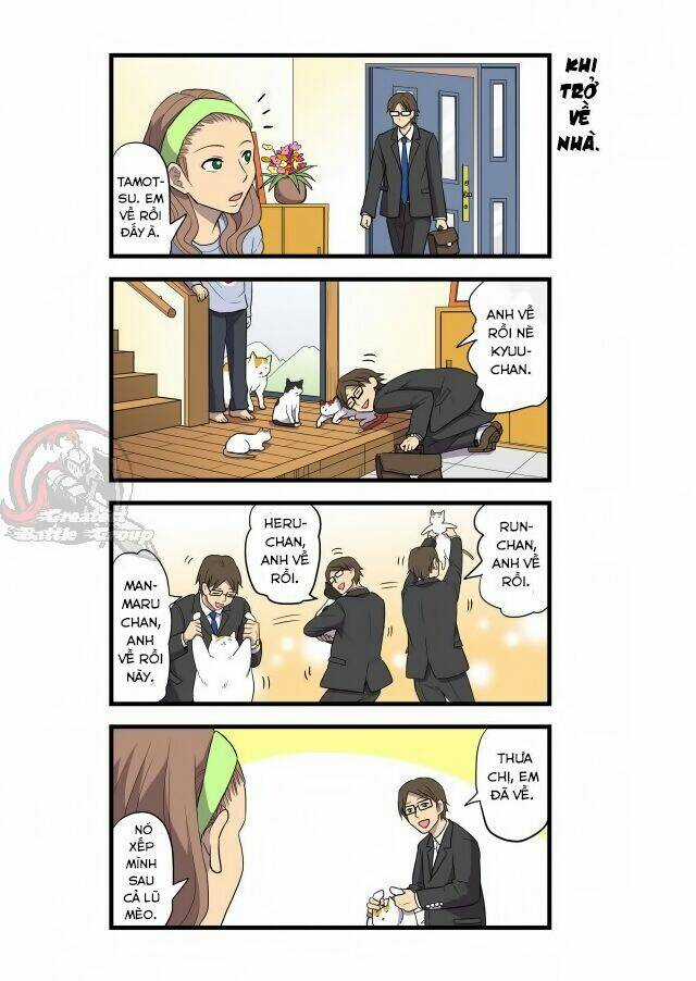 Cat is silver vine Chapter 1 trang 5