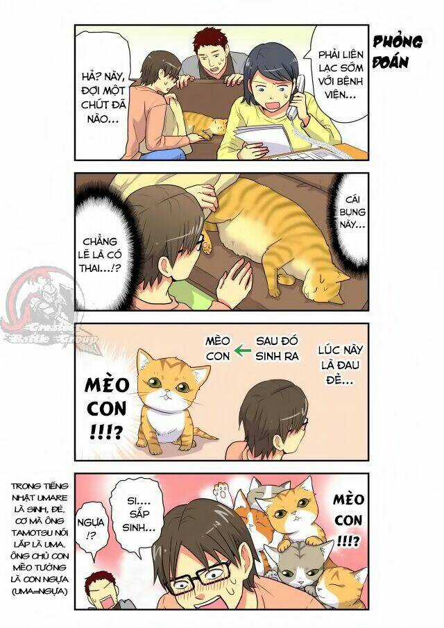 Cat is silver vine Chapter 12 trang 2