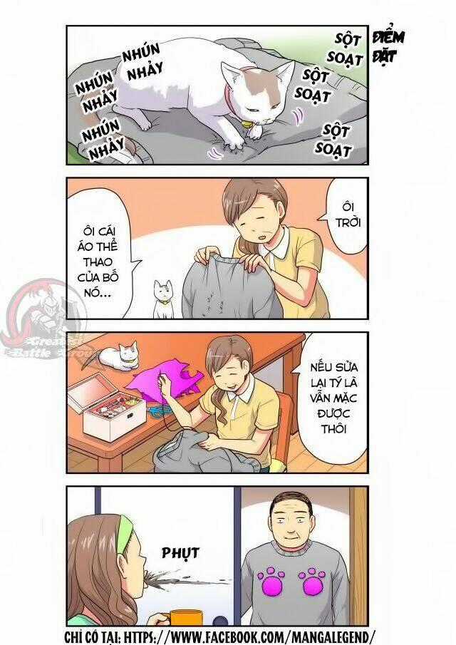 Cat is silver vine Chapter 13 trang 7