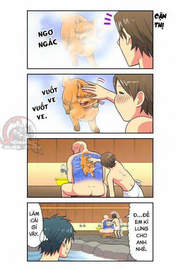 Cat is silver vine Chapter 16 trang 2