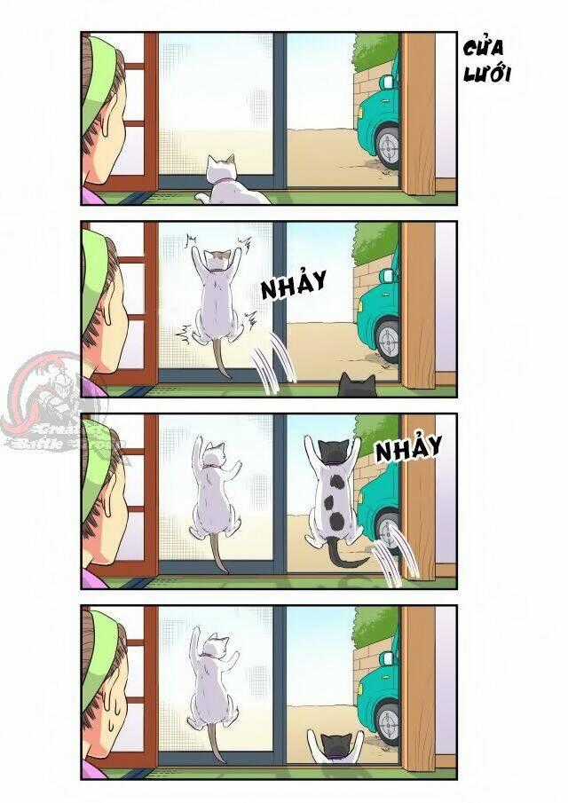 Cat is silver vine Chapter 18 trang 2