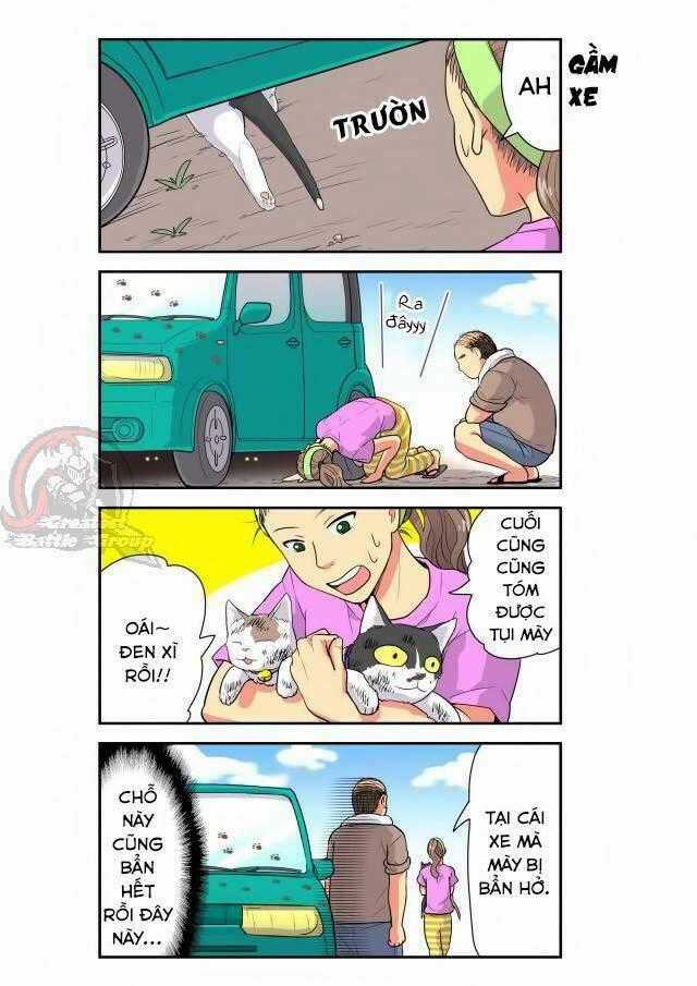 Cat is silver vine Chapter 19 trang 2