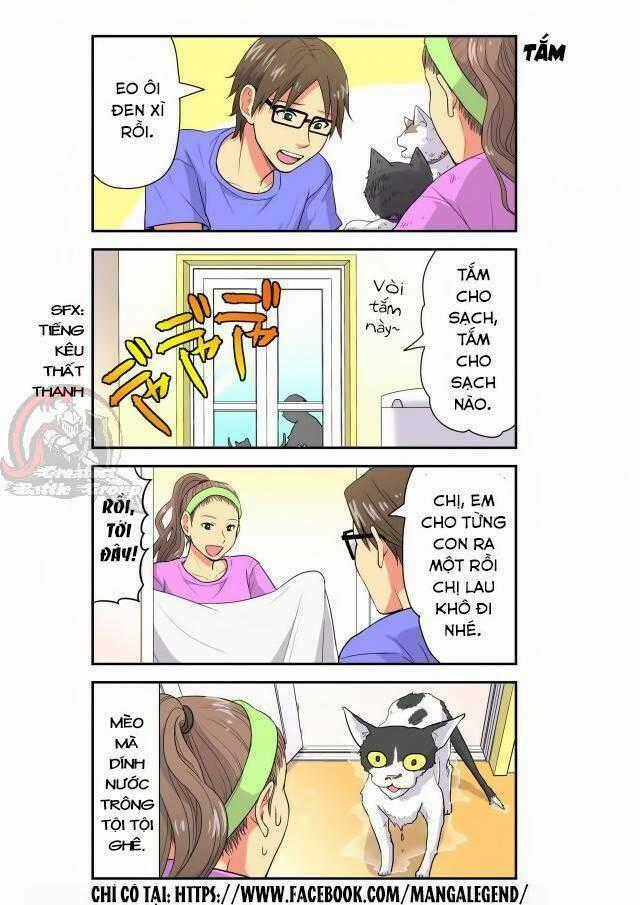 Cat is silver vine Chapter 19 trang 3