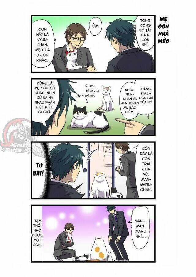 Cat is silver vine Chapter 2 trang 4