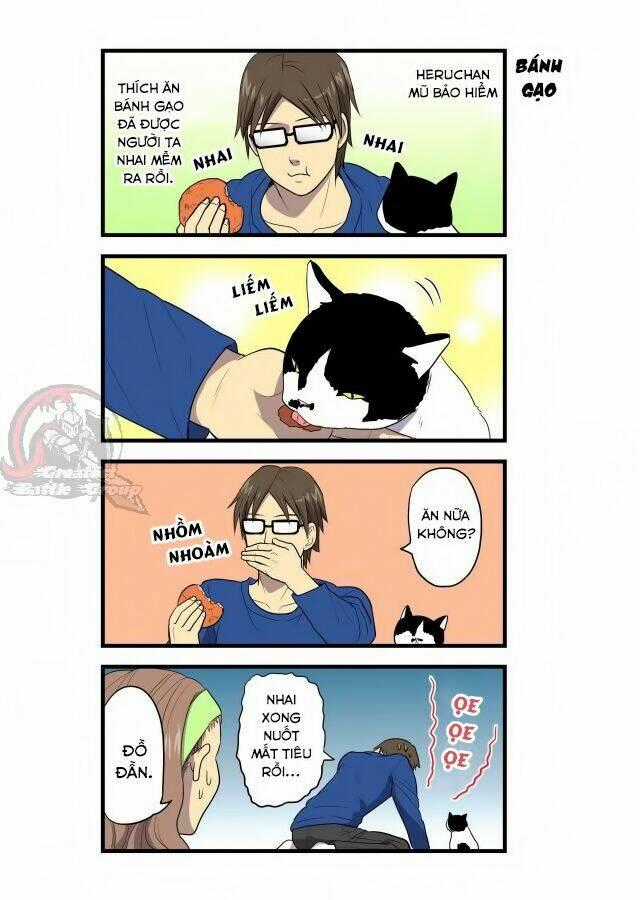 Cat is silver vine Chapter 2 trang 6