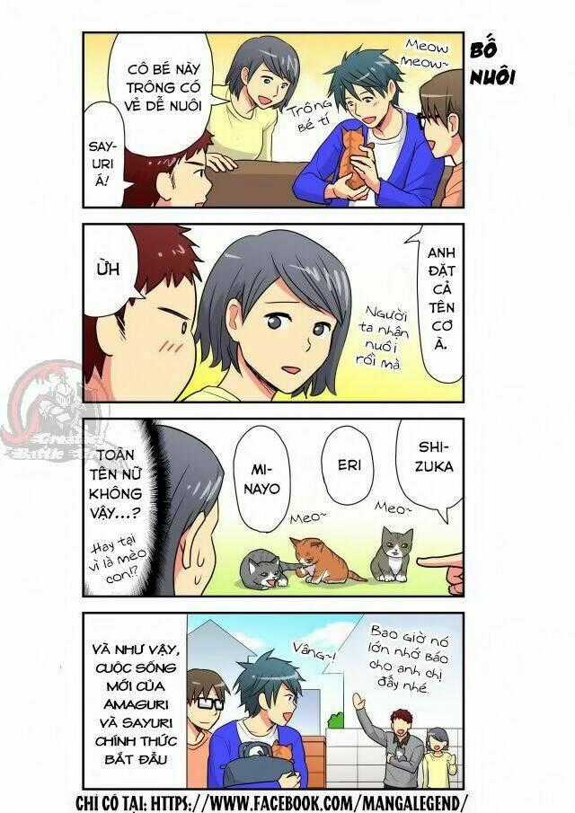 Cat is silver vine Chapter 20 trang 7