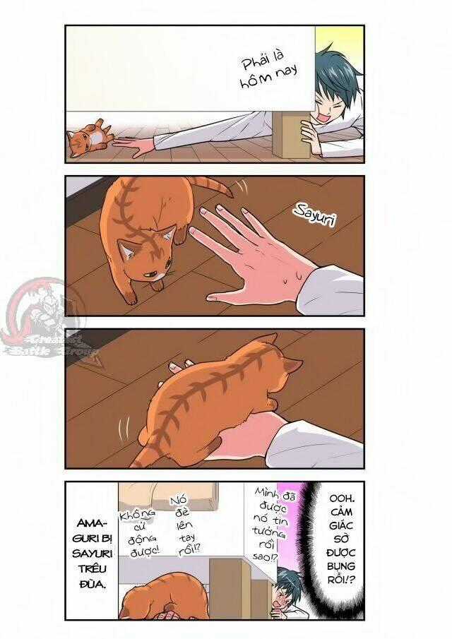 Cat is silver vine Chapter 28 trang 6