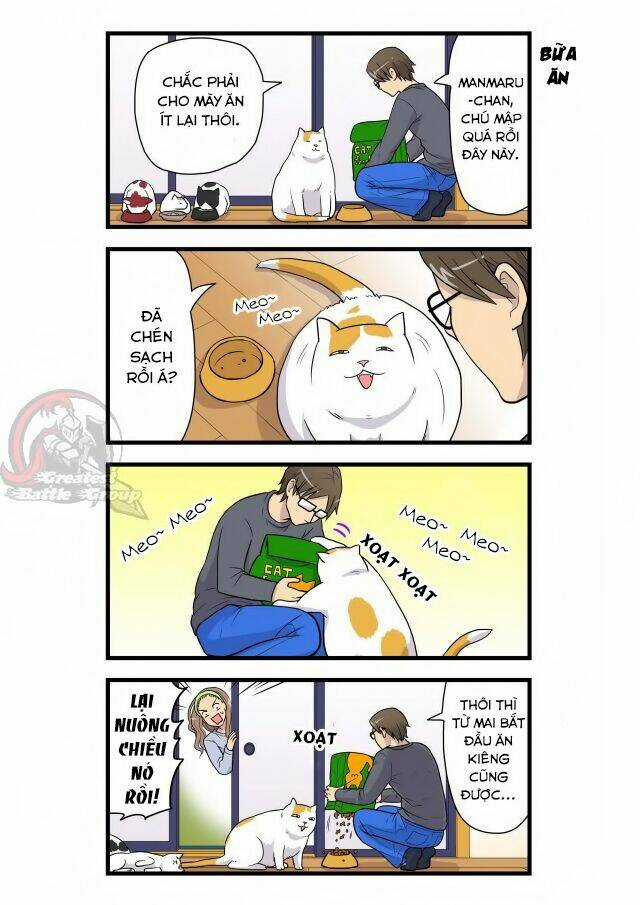 Cat is silver vine Chapter 3 trang 2