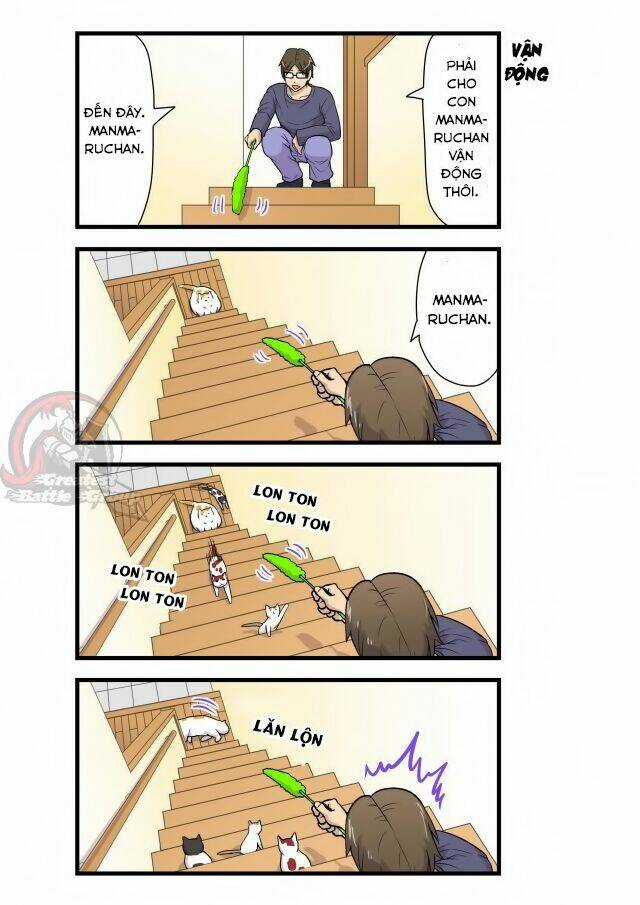 Cat is silver vine Chapter 3 trang 3