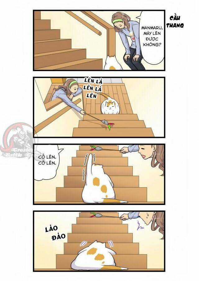 Cat is silver vine Chapter 3 trang 4