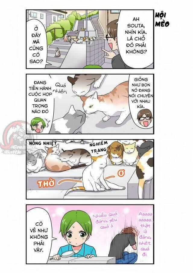 Cat is silver vine Chapter 33 trang 6