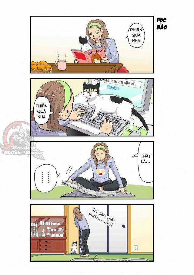 Cat is silver vine Chapter 4 trang 4