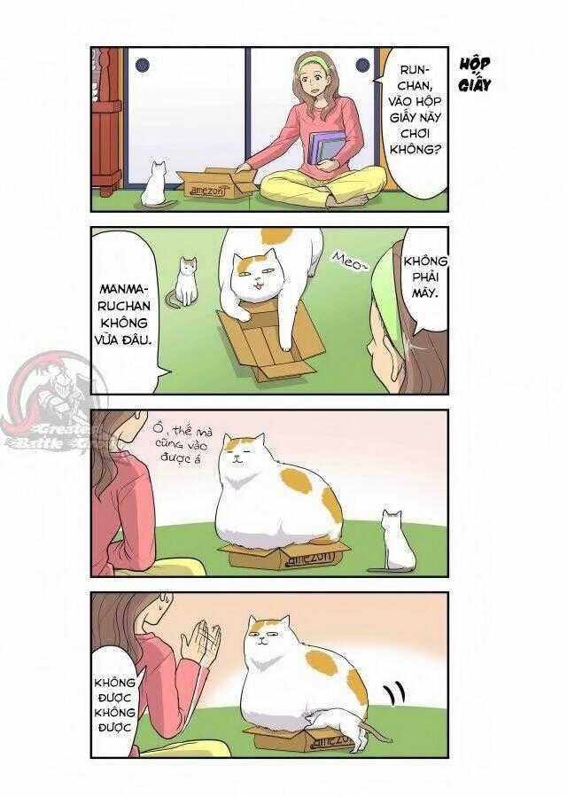 Cat is silver vine Chapter 4 trang 6