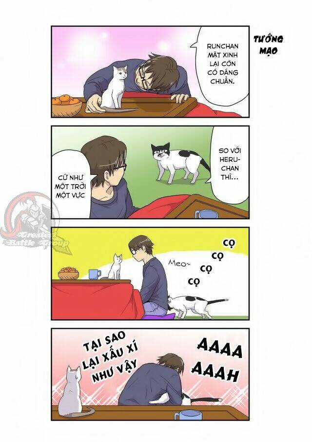 Cat is silver vine Chapter 5 trang 4