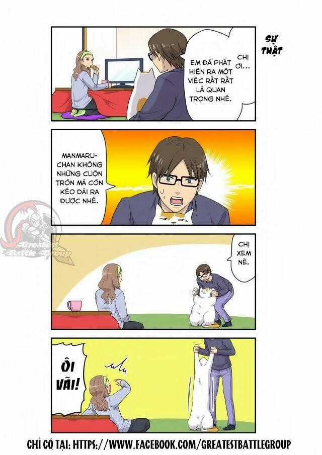 Cat is silver vine Chapter 5 trang 7