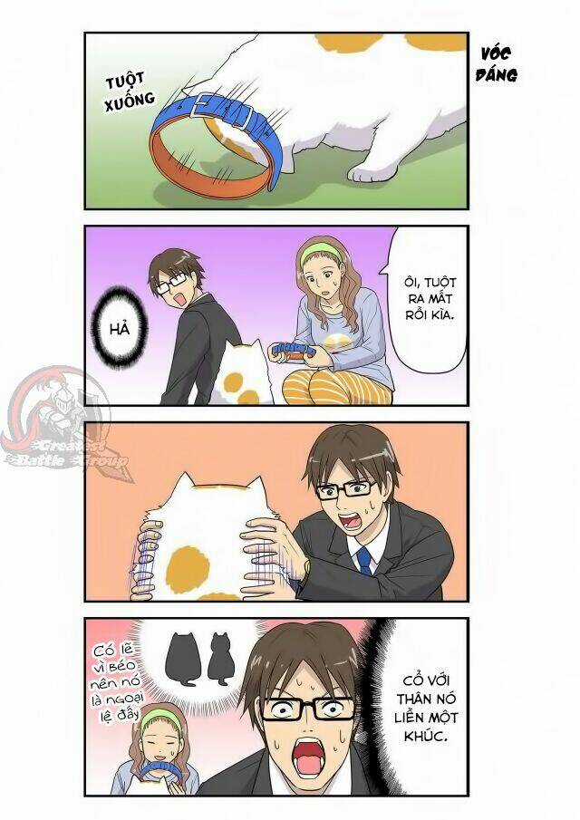 Cat is silver vine Chapter 6 trang 4