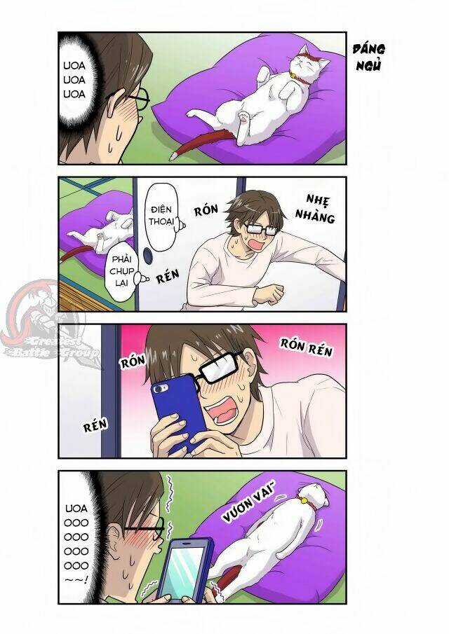 Cat is silver vine Chapter 7 trang 2