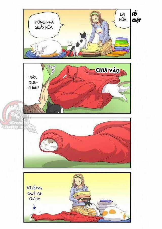 Cat is silver vine Chapter 9 trang 6