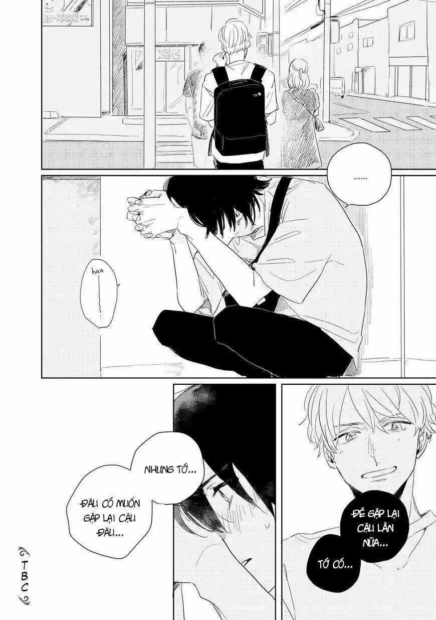 Catch Me When The Skylarks Sing Chapter 2 trang 13