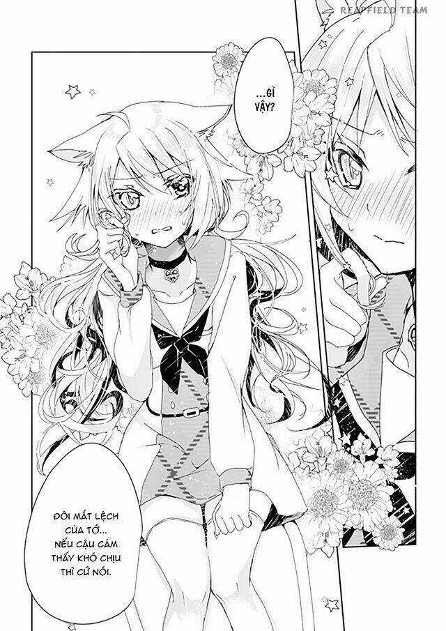 Catulus Syndrome Chapter 1 trang 37