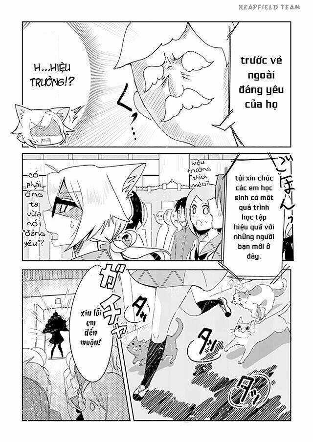 Catulus Syndrome Chapter 1 trang 6