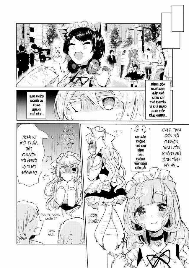 Catulus Syndrome Chapter 11 trang 8