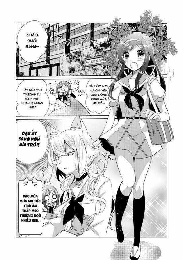 Catulus Syndrome Chapter 14 trang 1