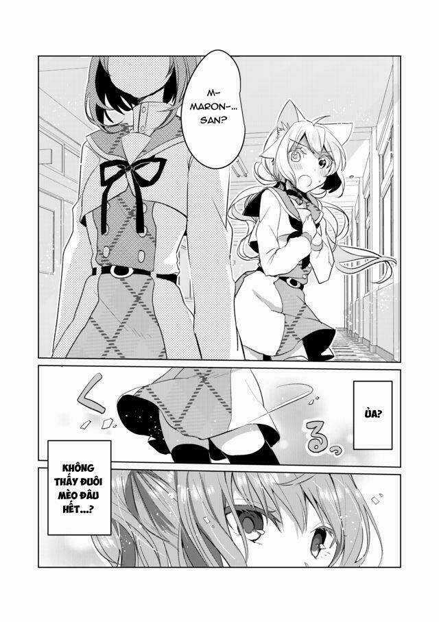 Catulus Syndrome Chapter 14 trang 8