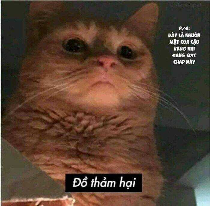 Catulus Syndrome Chapter 15 trang 13